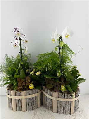 Oval Beechwood Mixed-Colour Arrangement