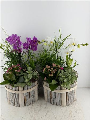 Round Beech Wood Arrangement – Mixed Colours