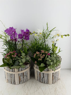 Round Beech Wood Arrangement – Mixed Colours