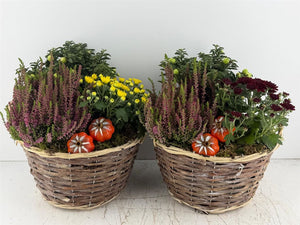 Mixed Colour Floral Arrangement – 3 Stems