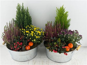 Mixed Colour Floral Arrangement in Round Zinc Pot