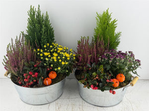 Mixed Colour Floral Arrangement in Round Zinc Pot
