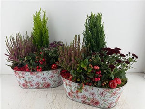 Mixed Flower Arrangement in Oval Zinc Pot