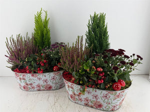 Mixed Flower Arrangement in Oval Zinc Pot