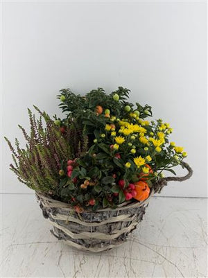 Mixed Colour Floral Arrangement – 3 Stems