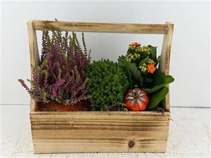 Mixed Colour Hanging Arrangement