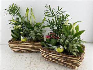Two-Tone Straight Reed Arrangement – 5 Stems
