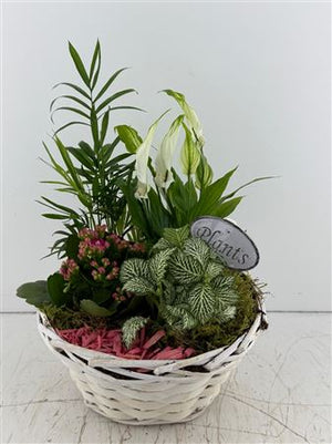 Mixed Colour Floral Arrangement