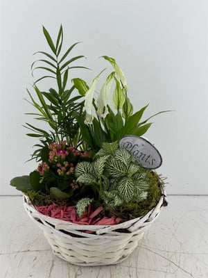 Mixed Colour Floral Arrangement