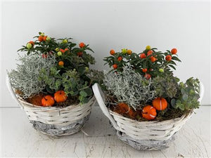 Mixed White Arrangement – 2-Piece Display