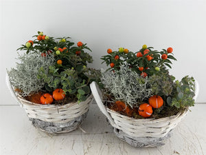 Mixed White Arrangement – 2-Piece Display