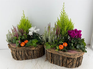 Oval Mixed-Colour Bark Arrangement