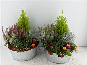 Mixed Colour Floral Arrangement – Zinc Round Container