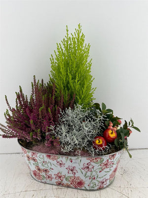 Mixed Flower Arrangement in Oval Zinc Planter