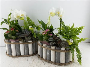 Mixed Colour Oval Wooden Arrangement – Grey and White