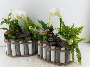 Mixed Colour Oval Wooden Arrangement – Grey and White