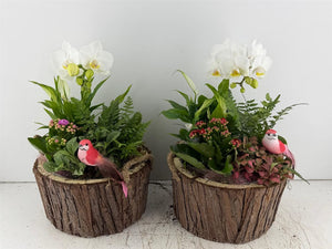 Mixed Colour Arranged Bark Display – 2 Piece Set