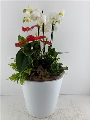 Extra-Large Mixed-Colour Ceramic Plant Arrangement
