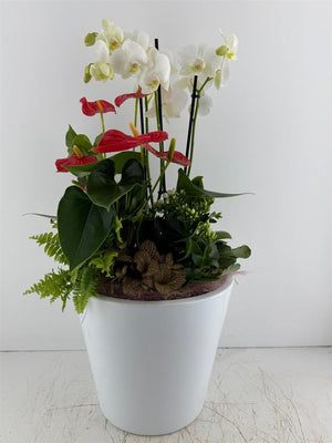 Extra-Large Mixed-Colour Ceramic Plant Arrangement