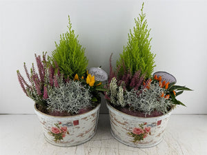 Mixed Colour Playwood Rose Arrangement