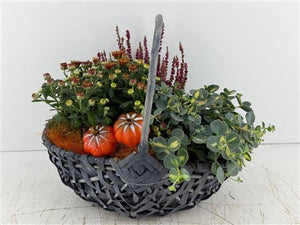 Mixed Colour Arrangement in Grey XL Harvest Basket