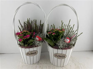 Mixed Flower Hanging Basket Arrangement