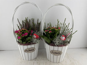 Mixed-Colour Floral Arrangement – Ceramic Hanging Basket