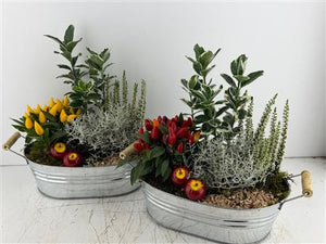 Mixed Colour Arrangement in Oval Zinc Pot