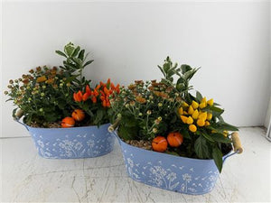 Mixed Floral Arrangement in Blue Oval Zinc Pot