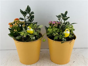 Mixed Colour Floral Arrangement in Yellow Zinc Bucket