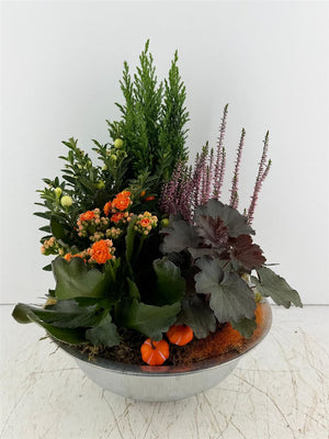 Mixed Colour Arrangement in XL Zigzag Bowl