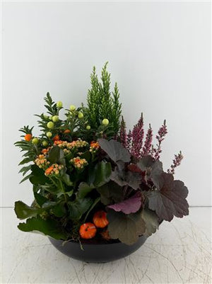 Mixed-Colour Arrangement in Black XL Bowl