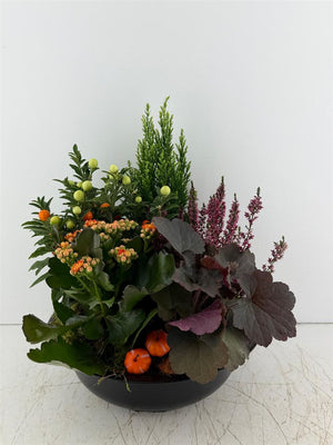Mixed-Colour Arrangement in Black XL Bowl