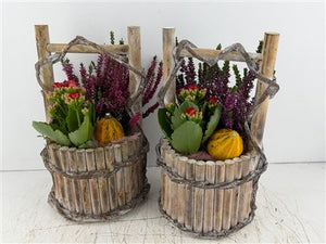 Mixed Colour Water Arrangement
