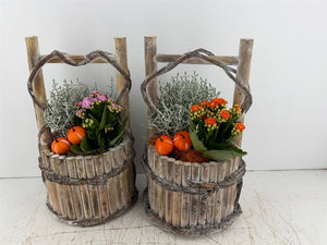 Mixed Colour Water Plant Arrangement