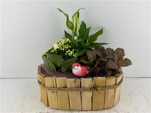 Mixed Colour Oval Wooden Plant Arrangement