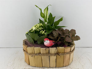 Mixed Colour Oval Wooden Plant Arrangement