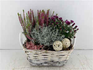 Mixed Colour Floral Arrangement – 4-Stem Display