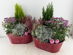 Red Oval Zinc Arrangement – Mixed Colours