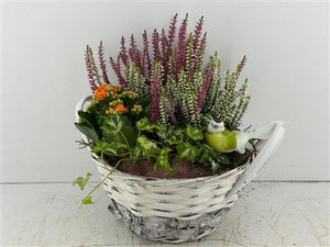 Mixed Colour Round Floral Arrangement