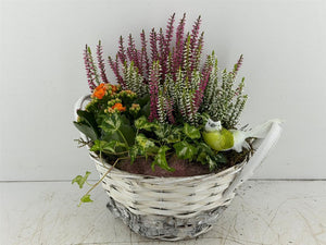 Mixed Colour Round Floral Arrangement