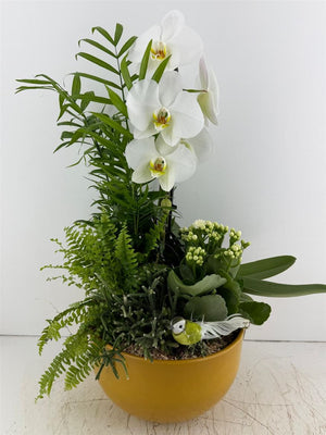 Mixed-Colour Decorative Plant Arrangement