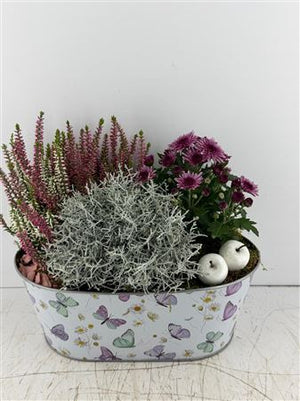 Mixed Colour Oval Zinc Butterfly Arrangement