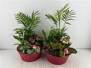 Mixed Colour Arrangement in Round Red Zinc Pot