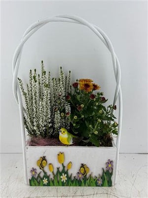 Mixed Colour Hanging Basket Arrangement