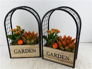 Mixed Colour Garden Arrangement in Iron Frame