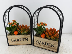 Mixed Colour Garden Arrangement in Iron Frame