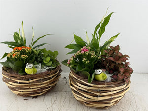 Mixed-Colour Floral Arrangement – 3 Stems