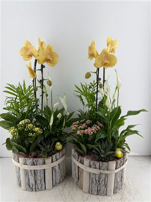 Beech Wood Round Decorative Arrangement