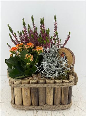 Mixed Colour Arrangement in Wooden Cube with Twine